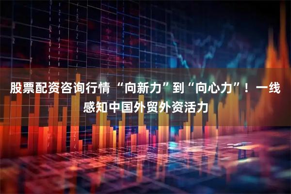 股票配资咨询行情 “向新力”到“向心力”！一线感知中国外贸外资活力