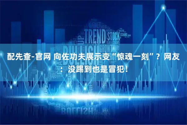 配先查-官网 向佐功夫展示变“惊魂一刻”？网友：没踢到也是冒犯！